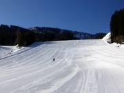 Ottimale per giovani corridori