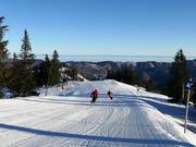 Discesa dell'alpeggio