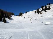 Pista facile n. 6 Paradiso