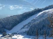 Discesa nord difficile Rittisberg