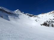 The Bowl al Powder Seeker 6