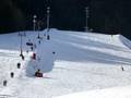 Piste Oberaudorf - Hocheck