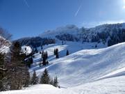 Vista sulle piste sotto la Kampenwand