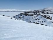 Fuori pista Svarta Björn