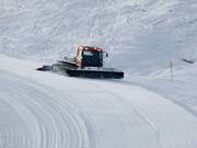 Gatto delle nevi al lavoro