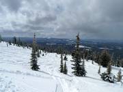 Piste di neve fresca nella Sun Rype Bowl
