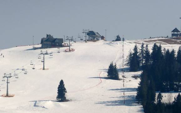 Sciare presso Czarna Góra