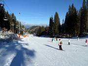 Pista principianti Biela Pút