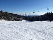 Ampia pista per esercitazioni sulla Mönichkirchner Schwaig