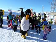 I bambini non vedono l'ora di incontrare Bobo