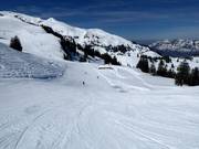 Pista da carving Mauri's