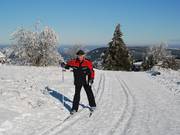 Tracce sull'Ettelsberg