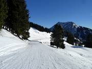 Discesa facile Gammering