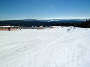 Area di esercitazione Alpe con tappeto coperto di 186 m