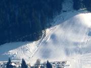 Schusterbühellift - Skilift a piattello