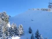 Area freeride presso la Weinbergbahn