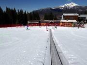 Tappeto Doss dei Laresi