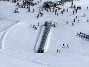Alfombra El Bosque - Tapis roulant/Tappeto Magico con galleria