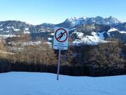 Protezione dell’area di riforestazione