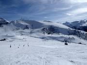 Piste per principianti all'Hahnenmoos