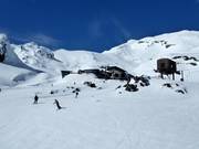 Piste facili presso la seggiovia Delta