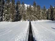 Nastro trasportatore Thaneller