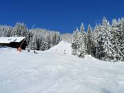 Discesa a valle n. 9a Zwieselalm