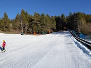 Suggerimento per i più piccoli 