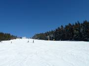 Discesa sciistica presso Hundseck