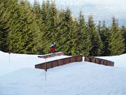 Quiksilver Terrain Park