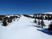 Discesa Kvitfjelløypa