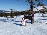 Suggerimento per i più piccoli 