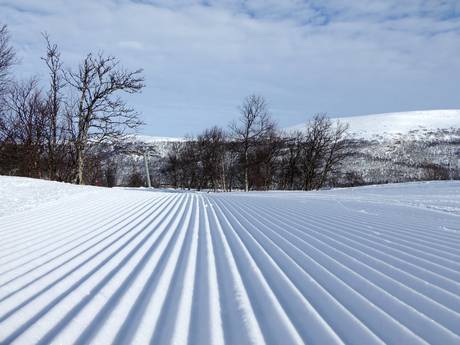 Preparazione delle piste Härjedalen – Preparazione delle piste Tänndalen