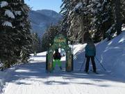 Percorso avventura FilZOO