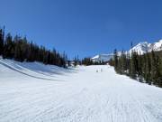 Pista facile Lone Wolf