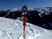 Segnaletica pista nera