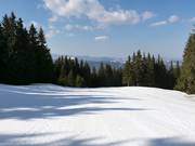 Pista facile a Mechi Chal