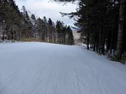 Pista molto facile South Road