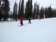 Area principianti Sunny Side con tappeti mobili