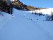 Discesa di Coppa del Mondo