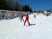 Suggerimento per i più piccoli  - Junior-Ski-Zirkus