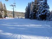 Pista per esercitazioni sulla Mönichkirchner Schwaig