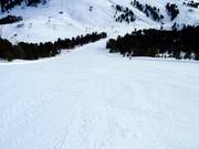 Pista difficile Pala di Santa