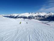 Facile Moritz Run da Corviglia fino a Salastrains