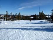 Pista larga e facile n. 14