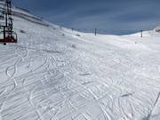 Zone di neve fresca al Col Rodella