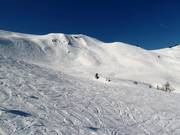 Area freeride al Fulseck