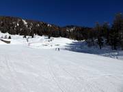 Facile pista per principianti Scoiattolo alla stazione intermedia Tarlenta