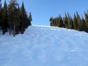 Pista difficile Exhibition