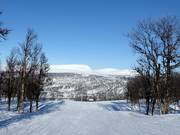 Pista n. 5 Genvägen
